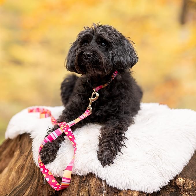 Lucky Love Dog - Adjustable Dog Collar with Easy Click Buckle for Large Ones, Durable, & Comfortable for Male & Female Dogs, Pet Collar for Puppies & Adult Dogs - Molly, XL