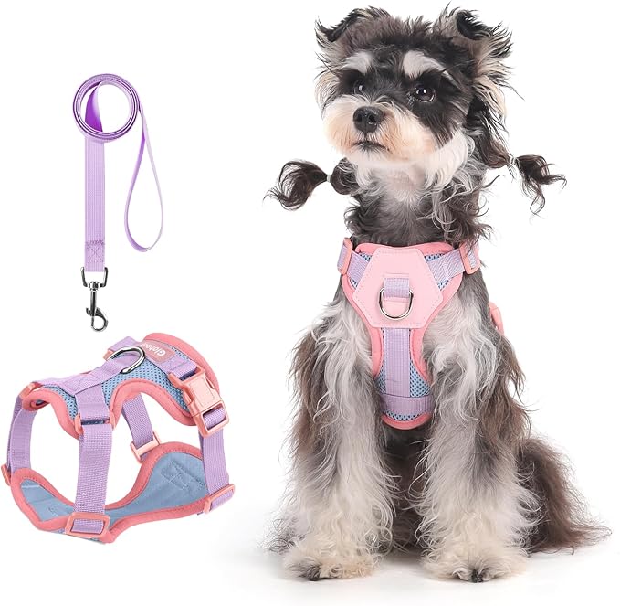 Small Dog Harness and Leash Set, Breathable Mesh Puppy Harness, Adjustable Dog Harness for Small Medium Large Dogs, No-Pull Pet Harness for Daily Walking (Blue, Small)