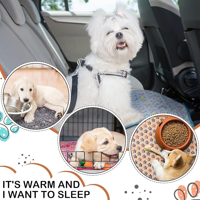 Reginary 4 Pcs Waterproof Guinea Pig Blankets Washable Small Animal Fleece Bedding Absorbent Guinea Pig Cage Liners Reusable Pet Pee Pad Sleep Mat for Hamster Ferret(Star Pattern,24 x 16 Inch)