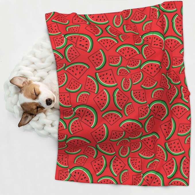Two Sided Pet Cuddler Blanket for Anxiety Calming, Summer Fruit Red Green Watermelon, Reversible Plush Design with Bubble Dot Pattern Provides Familiar Surface Anywhere