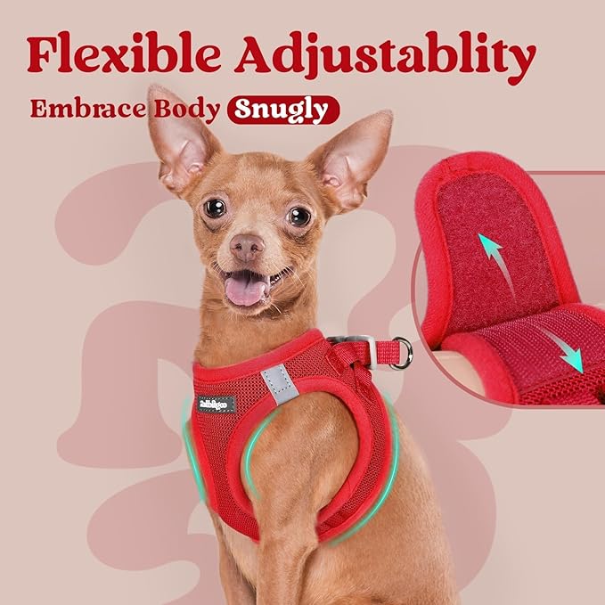 rabbitgoo Small Dog Harness, Step-in Soft Mesh Puppy Vest with Safety Buckle, Breathable Reflective Pet Harness for Extra Small Dogs, Red XXXS