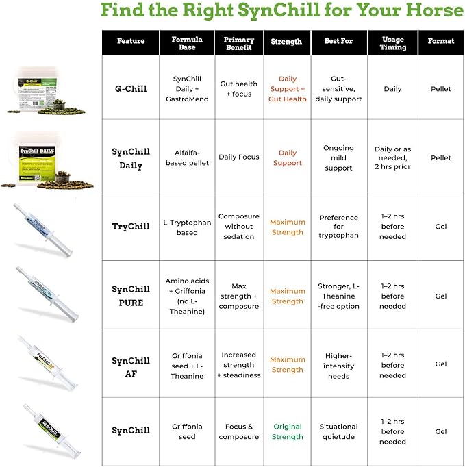 SynNutra Equine SynChill Pure 3 Pack – Non-Sedative Disposition Support for Horses – Plant-Based, Show-Safe Formula for Calm, Confident Performance – 100% Natural & Competition Safe