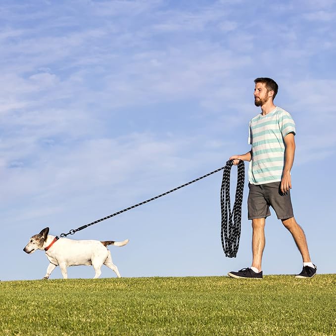 Long Dog Leash for Training 50Ft-Reflective Nylon Rope with Swivel Hook-Recall Agility Lead for Large Small Medium Dogs Outside Walking Hiking-Black Diam 1/2"