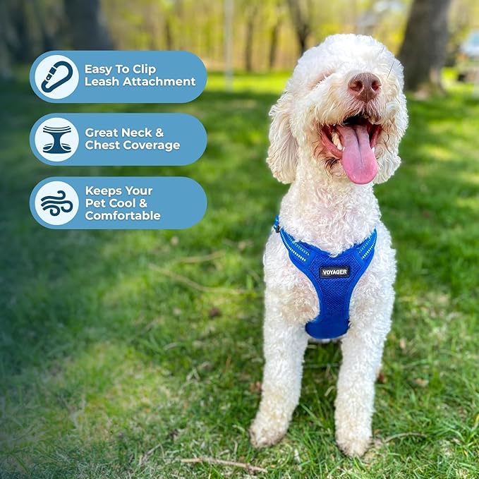 Best Pet Supplies Voyager Adjustable Step-in Flex Breathable Mesh Dog Harness for Small Medium Large Dogs (Royal Blue), M