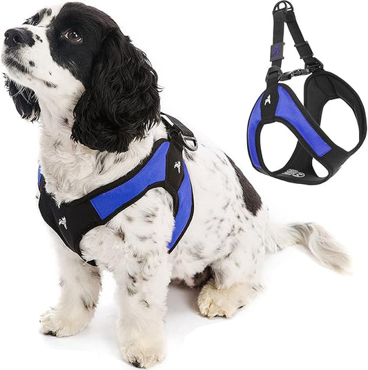 Gooby Escape Free Easy Fit Harness - Blue, Large - No Pull Step-in Patented Small Dog Harness with Quick Release Buckle - Perfect On The Go No Pull Harness for Small Dogs or Medium Dog Harness