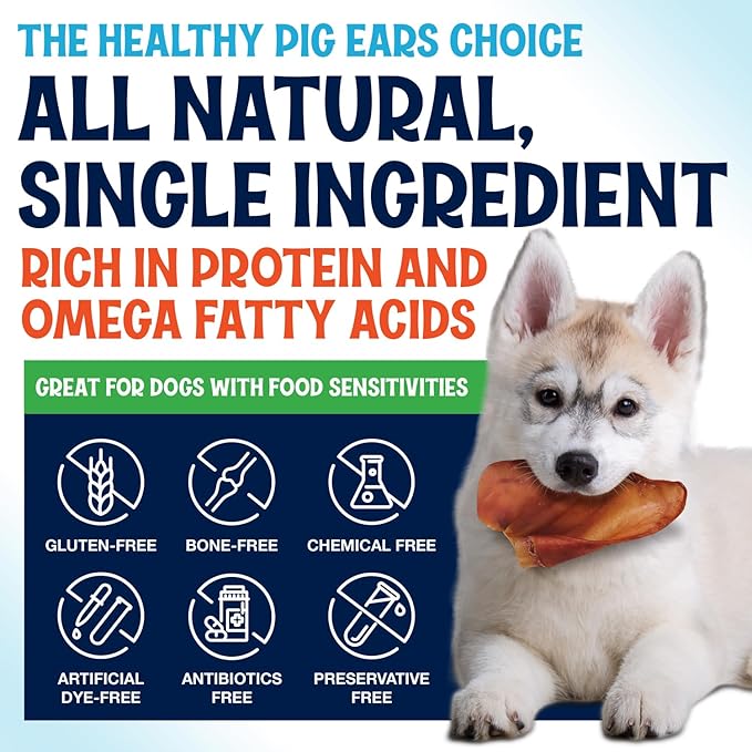 Whole Pig Ears for Dogs Large - 150 Pack Long Lasting Dog Chews – One Ingredient Delicious All Natural Flavor – Easy to Digest Dog Treats for Large Dogs - Great for Teeth and Gums