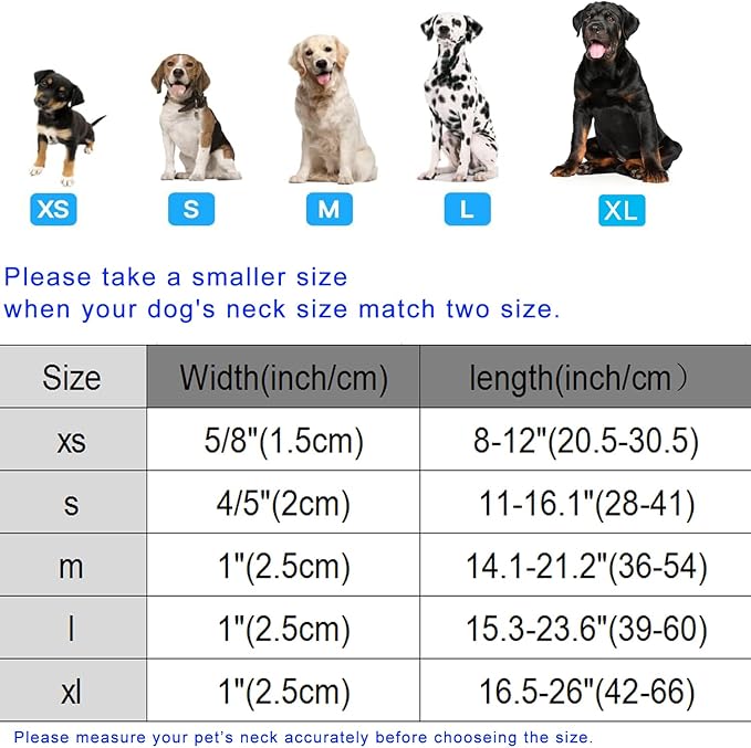 DOGWONG Floral Dog Collar, Cute Adjustable Flower Collar, Girl Female Dog Collar with Strong Plastic Buckle for Small Medium Large Dogs,M