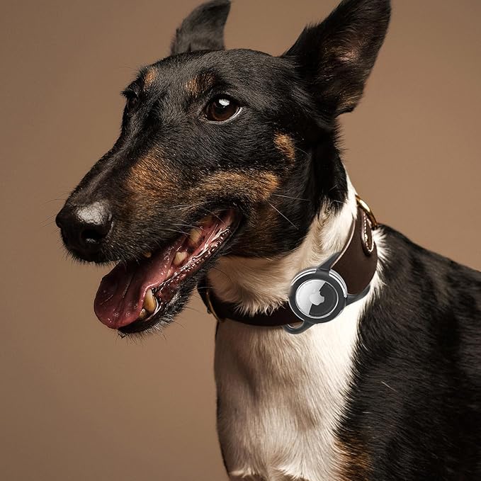 Waterproof Airtag Holder for Dog Collar, Soft Full-Body Protective Airtag Holder for Dog & Cat Collars, Ultra-Durable, Easy Installation, Lightweight Clear Airtag Case (Rose, Regular)