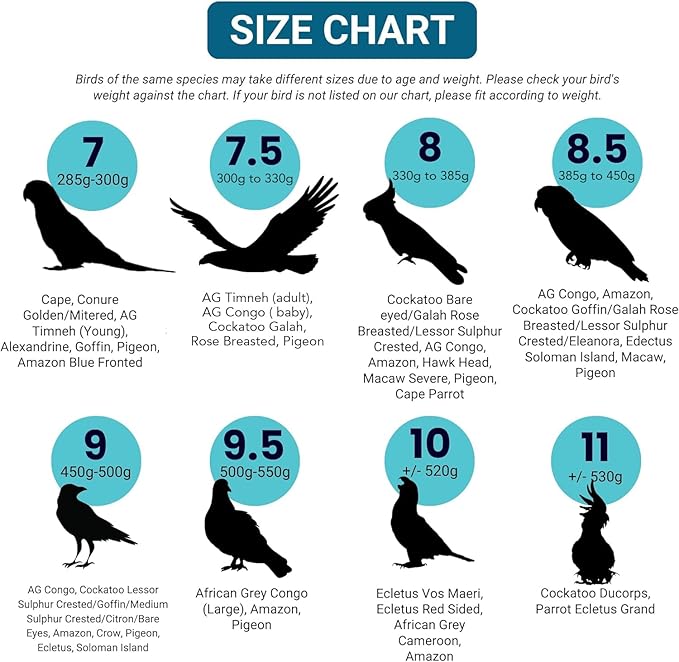 Bev's Bird Boutique Regular Flyper Adjustable Bird Diaper | Reusable, Washable Cloth | Comfort Fit for Parrot, Cockatiels, & Other Small Birds | Fashionable Avian Accessories, Classy Bird Size 16
