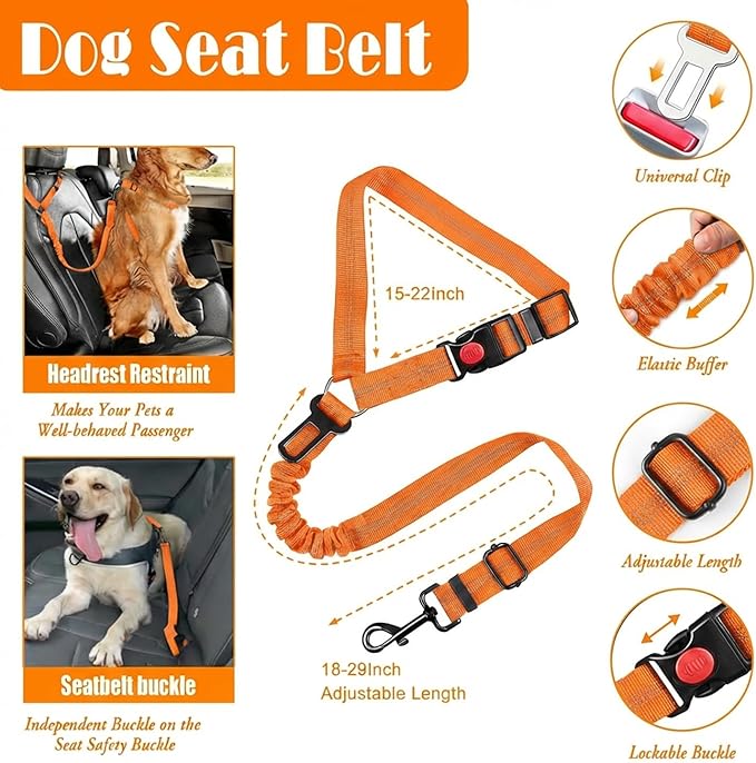 No Pull Dog Harness, Collar & Leash Set | Includes Dog Seat Belt, Collapsible Bowls & Poop Bag Dispenser. Ideal for Training, Walking, Hiking. Fits Small to Large Dogs(Orange-S)