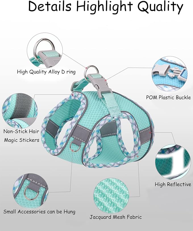 Petank Dog Harness for Small Medium Dogs No Pull, Puppy Harness and Leash Set, Step in Dog Harness for Walking, Running, Training, Small Dog Vest(Light Blue, S)