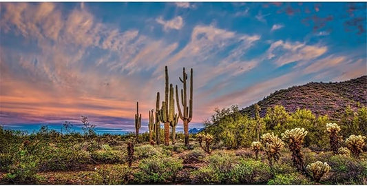 AWERT 36x24 inches Terrarium Background Blue Sky Cloud Huge Cactus Oasis Gobi Reptile Habitat Background Vinyl