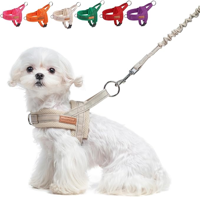 BEAUTYZOO Dog Harness for Small Dogs, No Pull Dog Harness and Leash Set, Soft Escape Proof Puppy Vest Harness with Handle, Reflective Lightweight Step in Harness for Girl Boy Dogs, Beige S