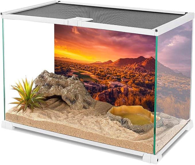 AWERT 24x16 inches Sun and Desert Terrarium Background Mountain Oasis Gobi Reptile Habitat Background Vinyl
