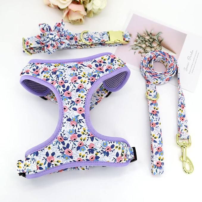 Beirui Cute Girl Dog Collars, Harnesses & Leashes Set - Adjustable Dog Collar and Leash Set with Flower - Soft Mesh Dog Vest Harness for Puppies Small Medium Dogs (Blue,XS)