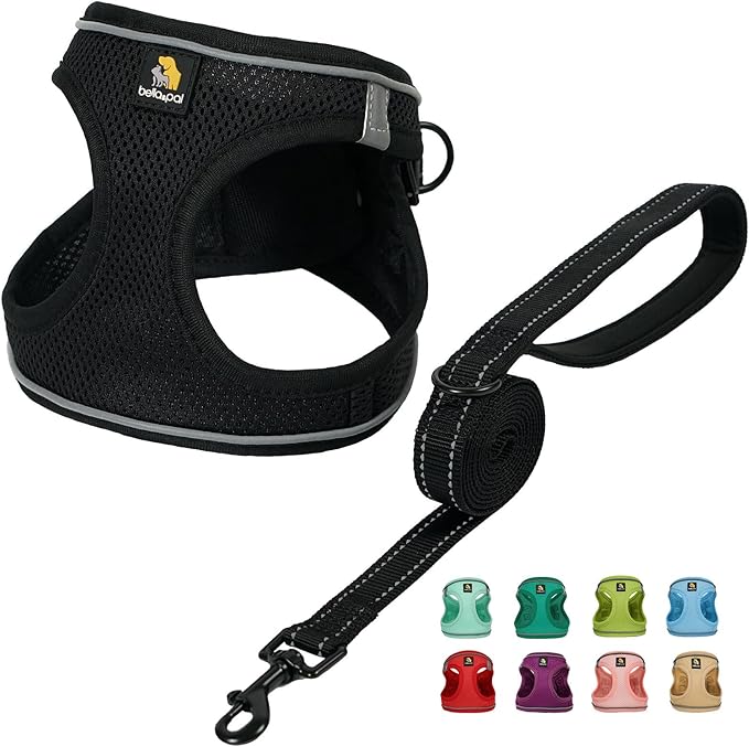 BELLA & PAL Step in Vest Harness for Small and Medium Dogs, No Pull Small Dog Harness with Leash Set, Comfortable Air Mesh Dog Vest Harness with Reflective Strip (Deep Black, S)