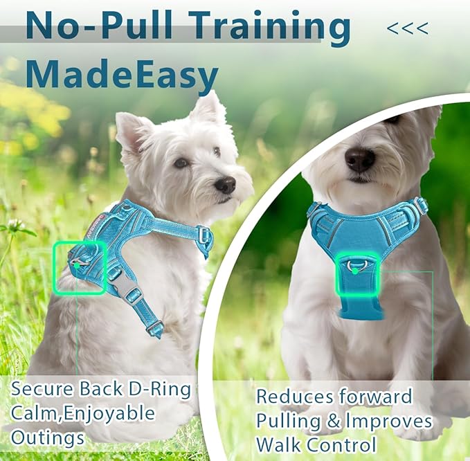 BARKBAY Dog Harness No Pull Oxford with ID Tag Pocket - Heavy Duty, Reflective, Easy Control for Large Dogs(Aqua Oxford,XS)