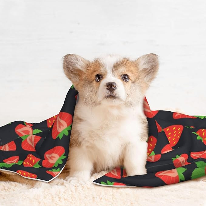 Reversible Dog Blanket for Beds Couches, Cute Red Strawberry Pattern Black, Double Sided Cat Blanket with Textured Dot Feel and Smooth Feel for Seasonal Comfort All Year