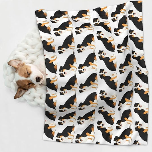 Double Sided Plush Pet Blanket for Small Large Animals, Australian Shepherds Dogs, Reversible Throw with Dimpled Dot Side and Flat Side for Kennels Living Rooms
