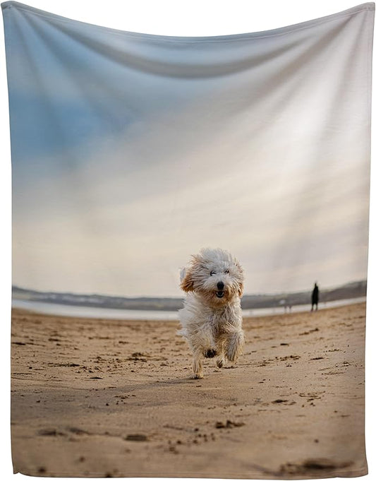 Prints Next Day – Custom 30" x 40" Fleece Pet Lightweight Blanket with Photo Upload - Gift for Dog or Cat Owners - Personalized Couch Throw - Printed in America