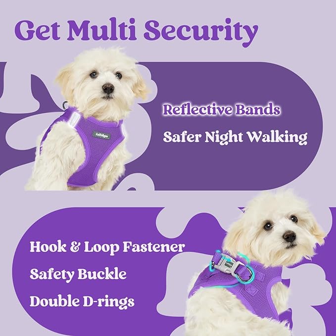 rabbitgoo Small Dog Harness, Step-in Soft Mesh Puppy Vest with Safety Buckle, Breathable Reflective Pet Harness for Extra Small Dogs, Purple XXXS