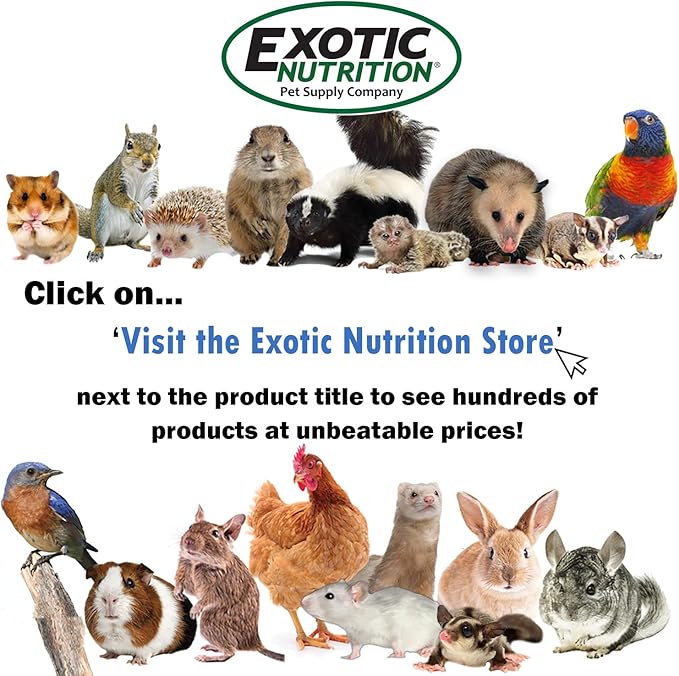 Glider Bonding Pouch - Carry Bonding Pouch for Sugar Gliders, Rats, Ferrets, Chinchillas, Squirrels, Marmosets, Hamsters, Gerbils & Small Animals