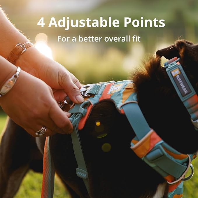 Ruffwear, Front Range Dog Harness, Reflective Soft Padded Everyday Harness with Dual Leash Clips, Adjustable and Lightweight Fit for Training or Walking for All Dogs, Moonlight Mountains, X-Small