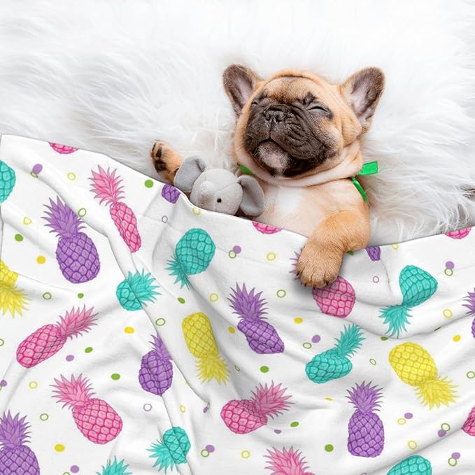 Pet Blanket for Couches and Beds, Colorful Tropical Summer Pineapple Print, Reversible Double Sided Plush Design with Soft Bumpy Texture and Smooth Surface, Furniture Protector