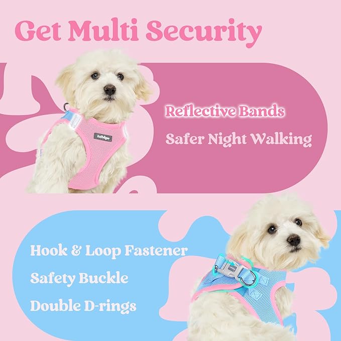 rabbitgoo Small Dog Harness, Step-in Soft Mesh Puppy Vest with Safety Buckle, Breathable Reflective Pet Harness for Small Medium Dogs, Blue & Light Pink XL