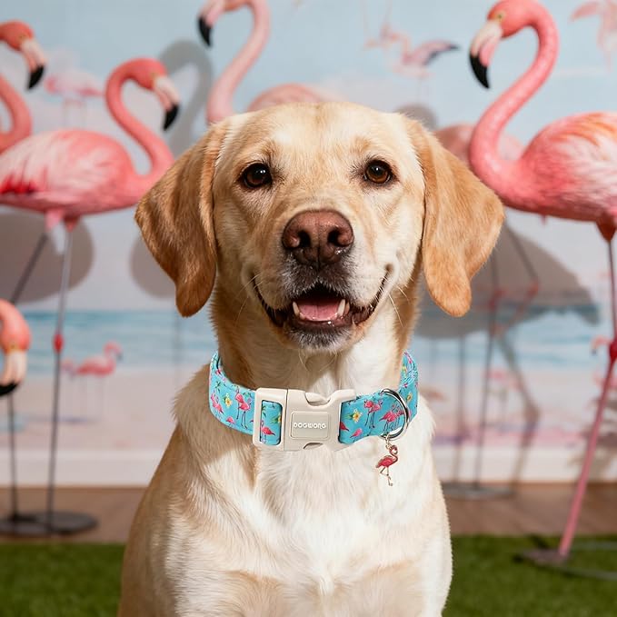 DOGWONG Spring Summer Dog Collar-Cute Flamingo Dog Collar, Adjustable Soft Beach Hawaiian Dogs Collars for Small Dogs, S