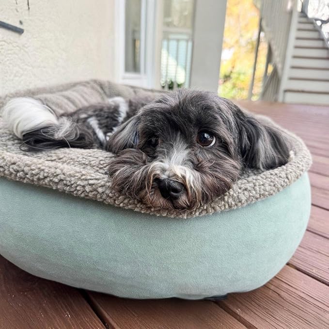 CAROLINA PET COMPANY Microfiber & Tipped Berber Comfy Cup Dog Bed - Tan, M