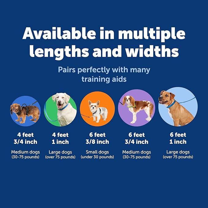 PetSafe Nylon Leash - Everyday Use Dog Leash - Lightweight Nylon - Quick Attach - Durable Pet Lead - 3/4" Wide - 6 Foot - Red