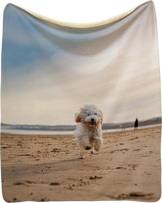 Prints Next Day – Custom 30" x 40" Sherpa Pet Lightweight Blanket with Photo Upload - Gift for Dog or Cat Owners - Personalized Couch Throw - Printed in America