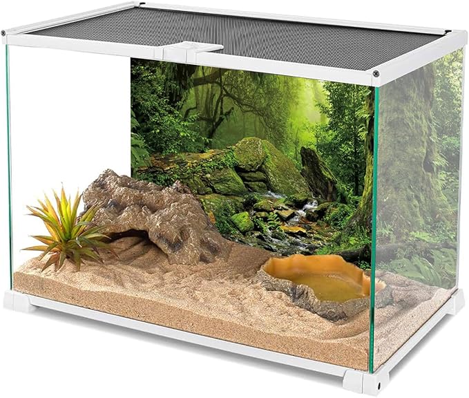AWERT Tropical Forest Terrarium Background Stream Green Huge Tree Reptile Habitat Background Foggy Rainforest Aquarium Background 72x16 inches Durable Polyester Background