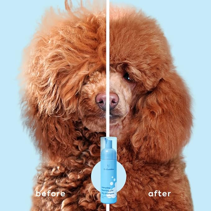 Foaming Dog Dry Shampoo, Waterless Dog Shampoo No Rinse - Waterless Cat Shampoo, Natural Botanicals & Deodorant for Fresh Smelling Fur on Dogs & Cats, Vet Formulated, Cleans & Conditions, Summer Pawty