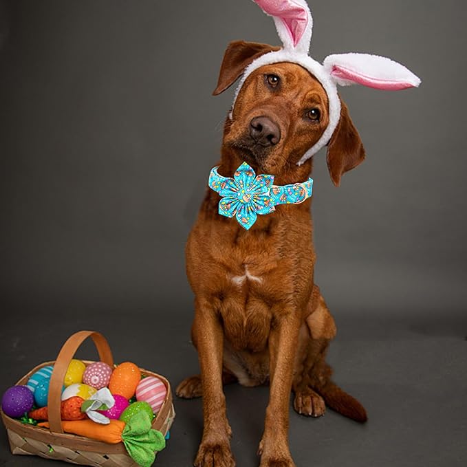 Lionheart glory Easter Day Dog Collar with Flower Dog Collar for Small Dogs, Easter Egg Dogs Collars Colorful Spring Collars Flowers Puppy