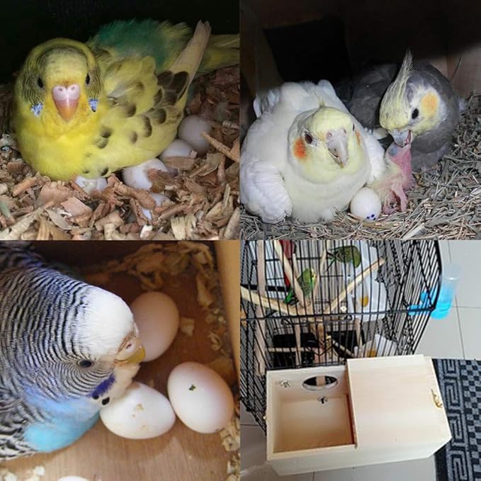 YJJKJ Wood Parakeet Nest Box Pet Bird House Parrot Breeding Mating Box Bird Cage Box for Lovebirds Cockatiel Parrotlets Budgerigar Parakeet (XL)