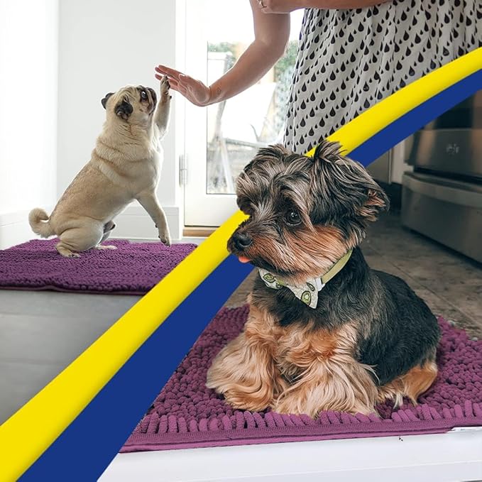 Muddy Mat® | Super Absorbent Door Mat Indoor, Microfiber Quick Dry Chenille Entryway Rug, Non-Slip Front Door Mat, Indoor Mats for Entryway, Machine Washable Pet Rug, Dark Purple 48" x 60"