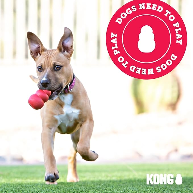 KONG Puppy - Natural Teething Rubber Chew Toy for Dogs - Stuffable Dog Toy for Extended Playtime - Chew & Fetch Toy for Puppies - for Small Puppies - Blue