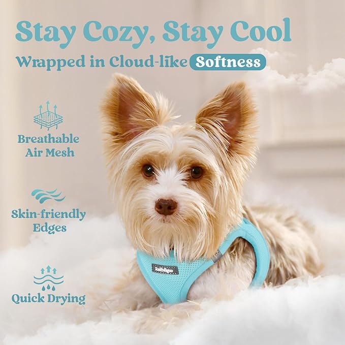 rabbitgoo Small Dog Harness, Step-in Soft Mesh Puppy Vest with Safety Buckle, Breathable Reflective Pet Harness for Small Sized Dogs, Mint Blue M