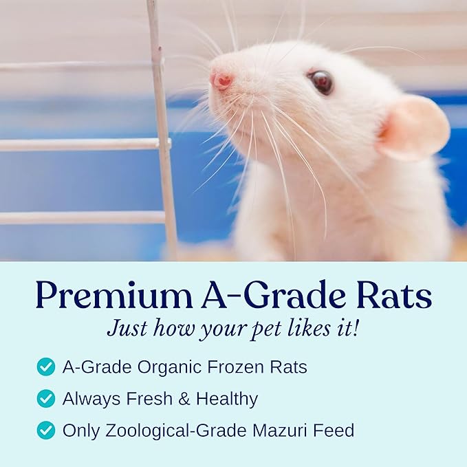 MiceDirect 125 Premium Frozen Mice Fuzzies Snake Food Feeders for Baby Ball Pythons Red Tail Boas Sub Adult Milks (Pack of 125)(1.5-2 in)(500 Grams Min)