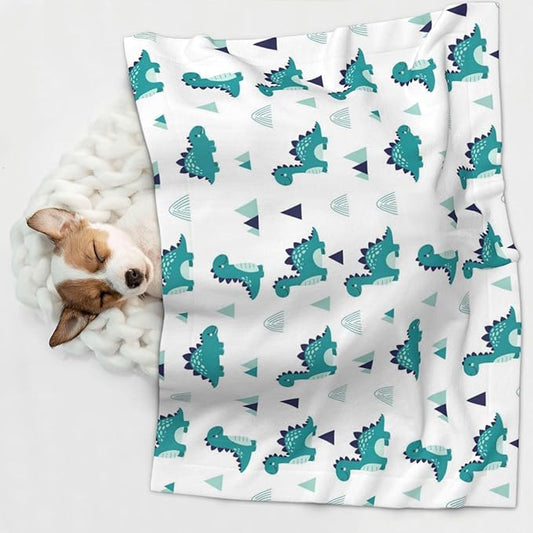 Dog and Cat Blanket in One, Funny Dinosaur Green, Double Sided Plush Throw with Raised Dot Pattern on One Side and Flat Velvet on Other for Variety