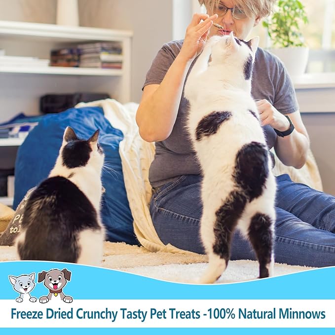 Minnows - 6.5 oz Freeze Dried Minnows for Cat & Dogs, 100% Natural Premium Cat & Dog Treat， (6.5 OZ)