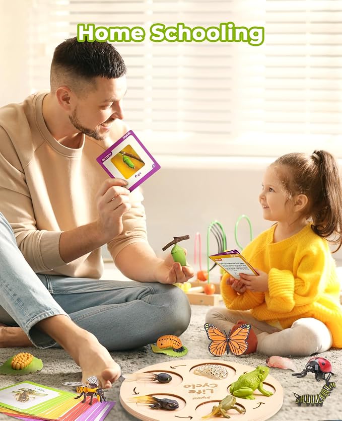 JoyCat Life Cycle Toys for Kids, 7 Animal and Plant Sets with Cards | Explore seven animal and plant life cycles with 37 cards, realistic figures, a double-sided board and storage box