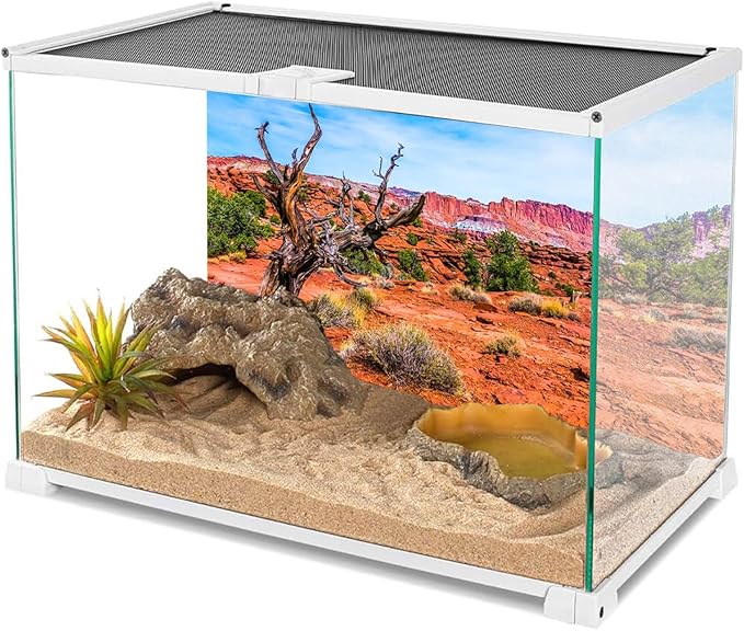 AWERT 24x16 inches Reptile Habitat Background Blue Sky Oasis Orange Desert Terrarium Background