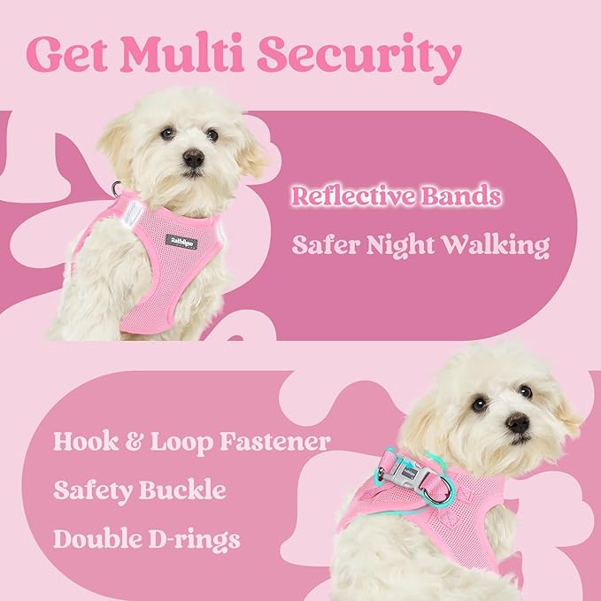 rabbitgoo Small Dog Harness, Step-in Soft Mesh Puppy Vest with Safety Buckle, Breathable Reflective Pet Harness for Extra Small Dogs, Light Pink XXS