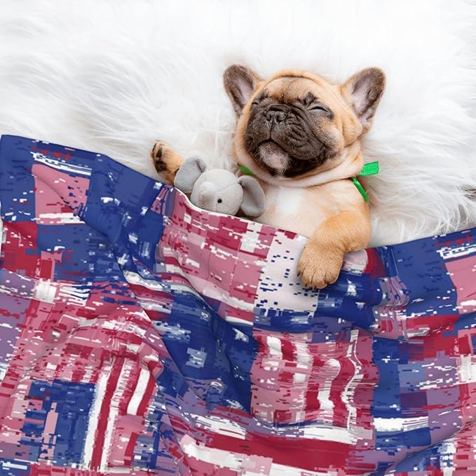 Pet Blanket for Couches and Beds, American Flag and Colored Balloons, Reversible Double Sided Plush Design with Soft Bumpy Texture and Smooth Surface, Furniture Protector