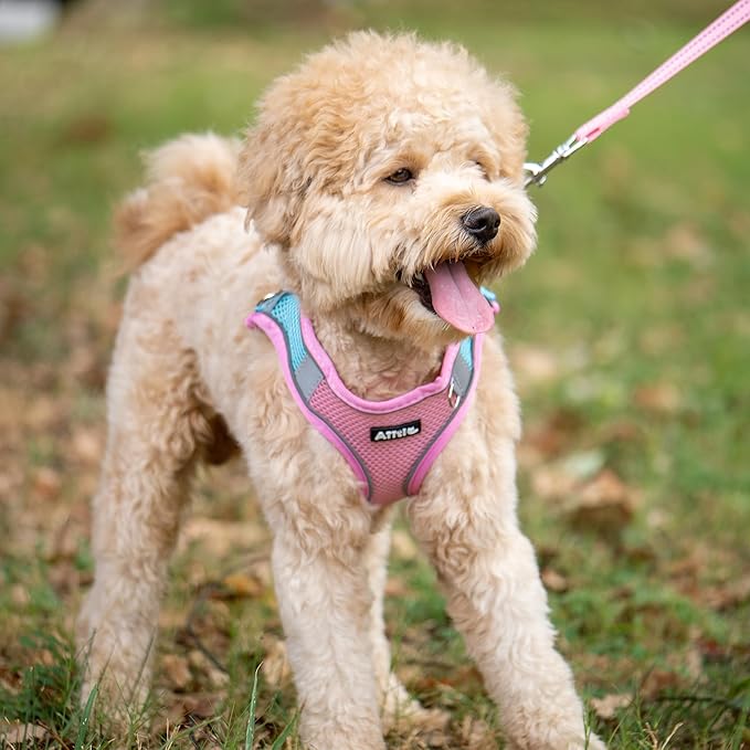 AIITLE Escape Proof Dog Harness - Step in Adjustable Dog Harness No Choke Over with Breathable Mesh and Quick-Release Buckle for All Weather- Outdoor Walking, Training for Medium Dogs Pink XL