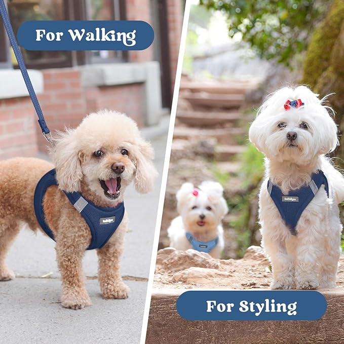 rabbitgoo Small Dog Harness, Step-in Soft Mesh Puppy Vest with Safety Buckle, Breathable Reflective Pet Harness for Small Medium Dogs, Navy Blue XL