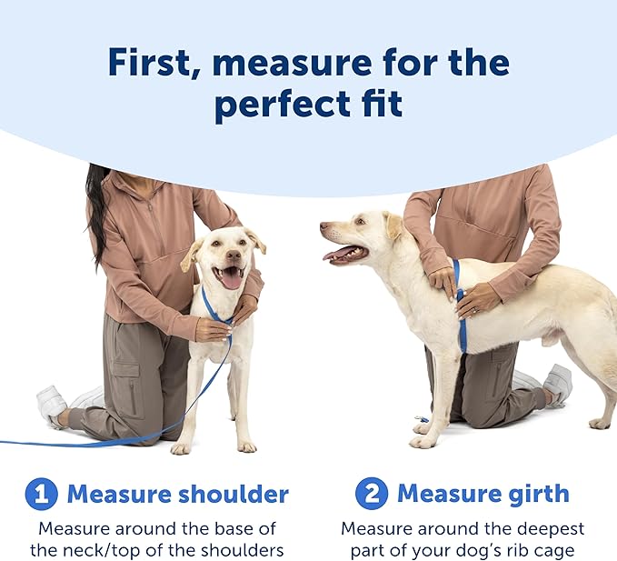 PetSafe Easy Walk Comfort No-Pull Dog Harness - Better Walk Training Harness - Full Body Padded Design - Durable Fabric - 5 Point Adjustable Fit - Everyday Leash Training - Blue - Large